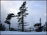 DSCN4087.JPG