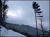 DSCN4092.JPG