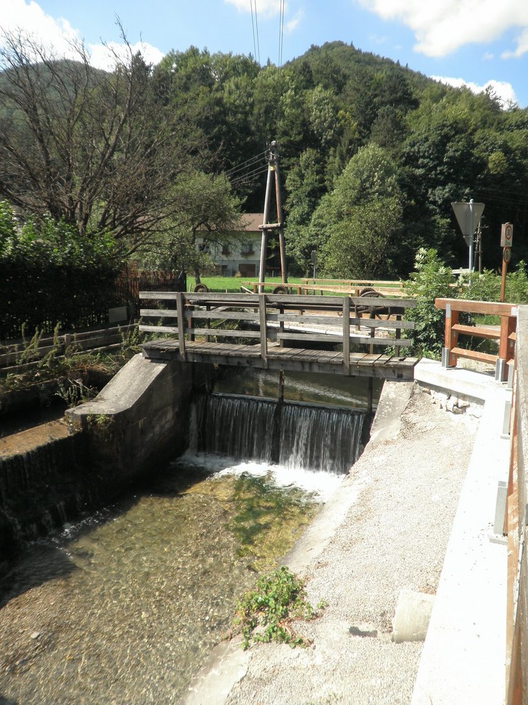 P8210002.JPG