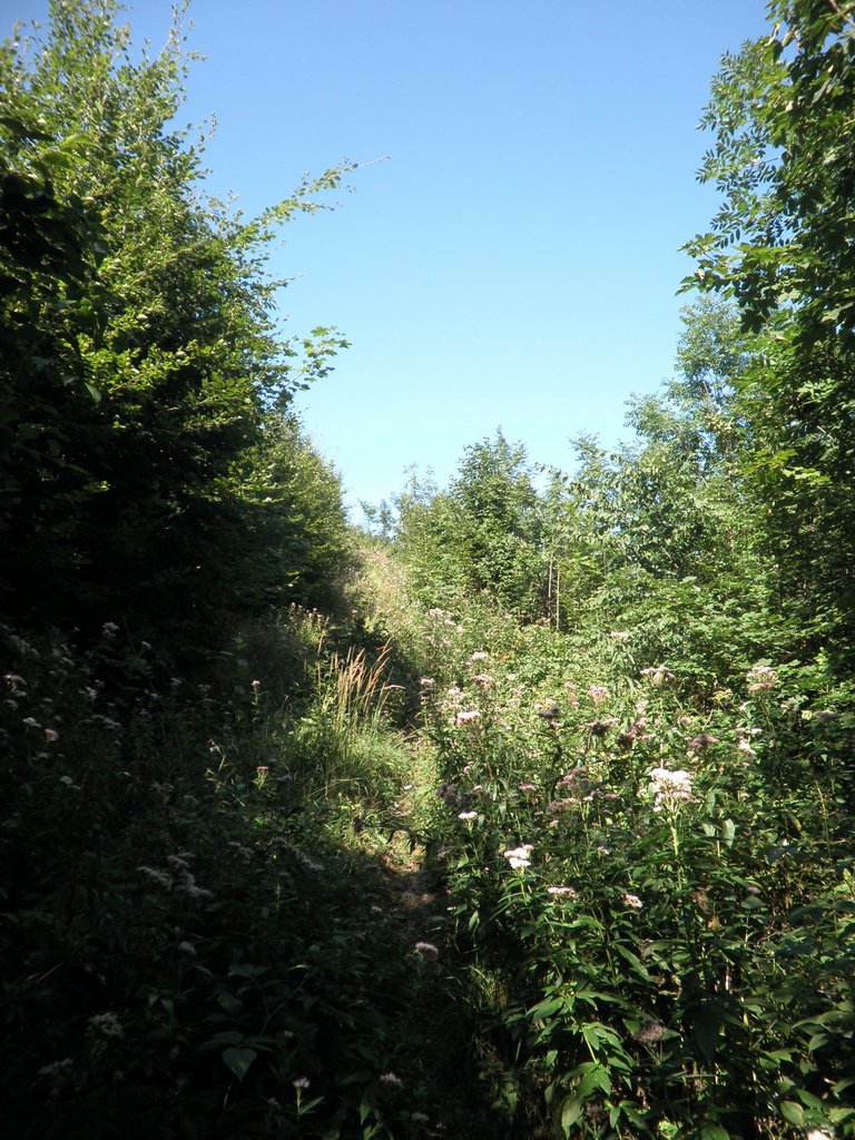 P8210030.JPG
