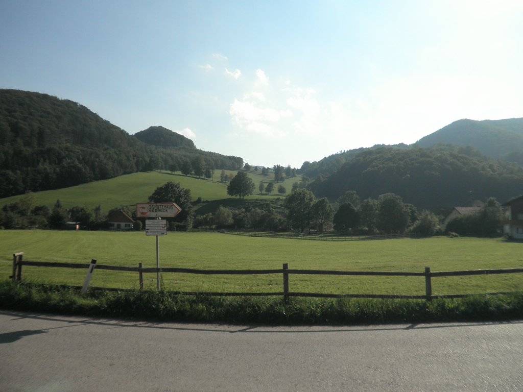 P8210042.JPG