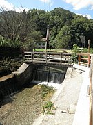 P8210002.JPG