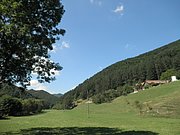 P8210004.JPG