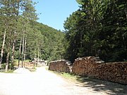 P8210011.JPG