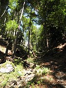 P8210013.JPG