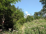P8210014.JPG