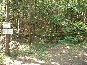 P8210015.JPG