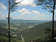 P8210017.JPG