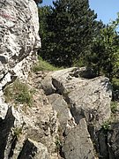 P8210018.JPG