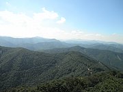 P8210022.JPG