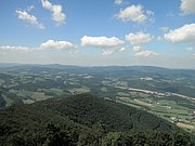 P8210023.JPG