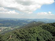 P8210024.JPG