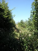 P8210030.JPG