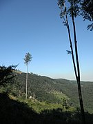 P8210031.JPG