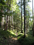 P8210033.JPG