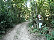 P8210034.JPG
