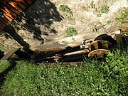 P8210038.JPG