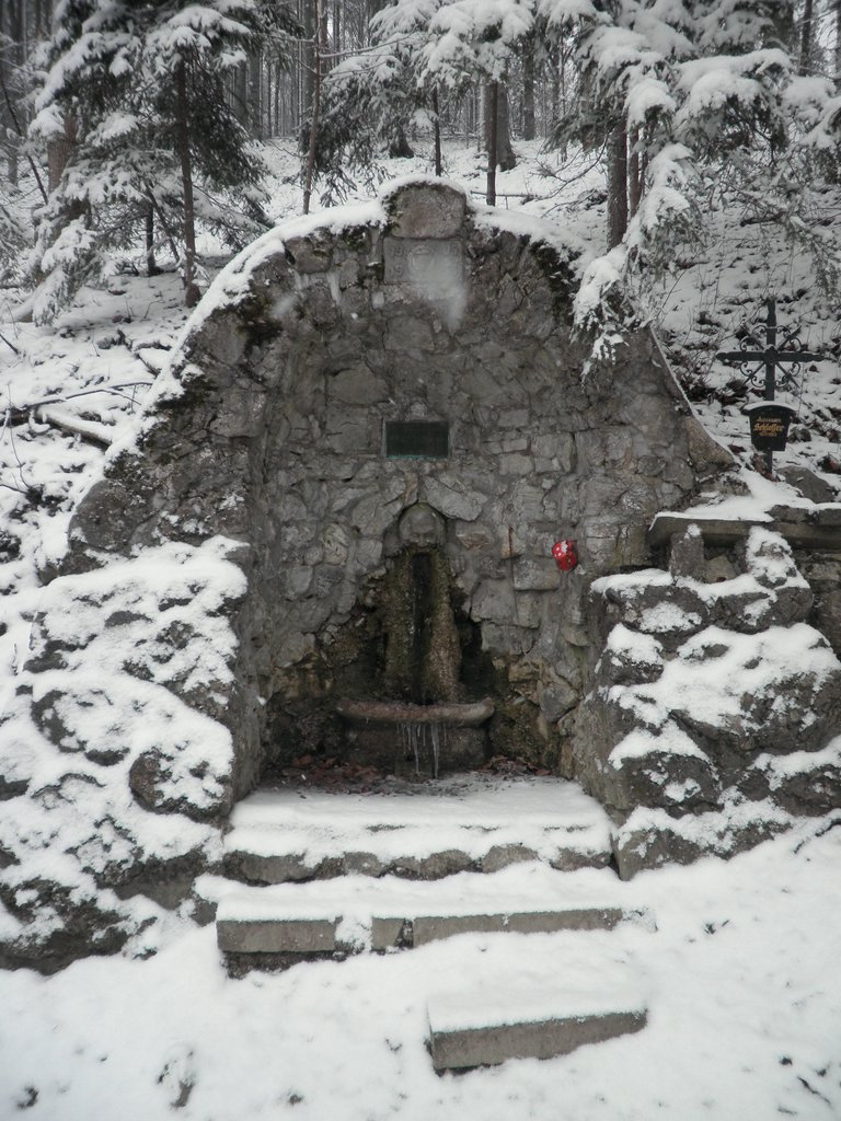 PC130107.JPG