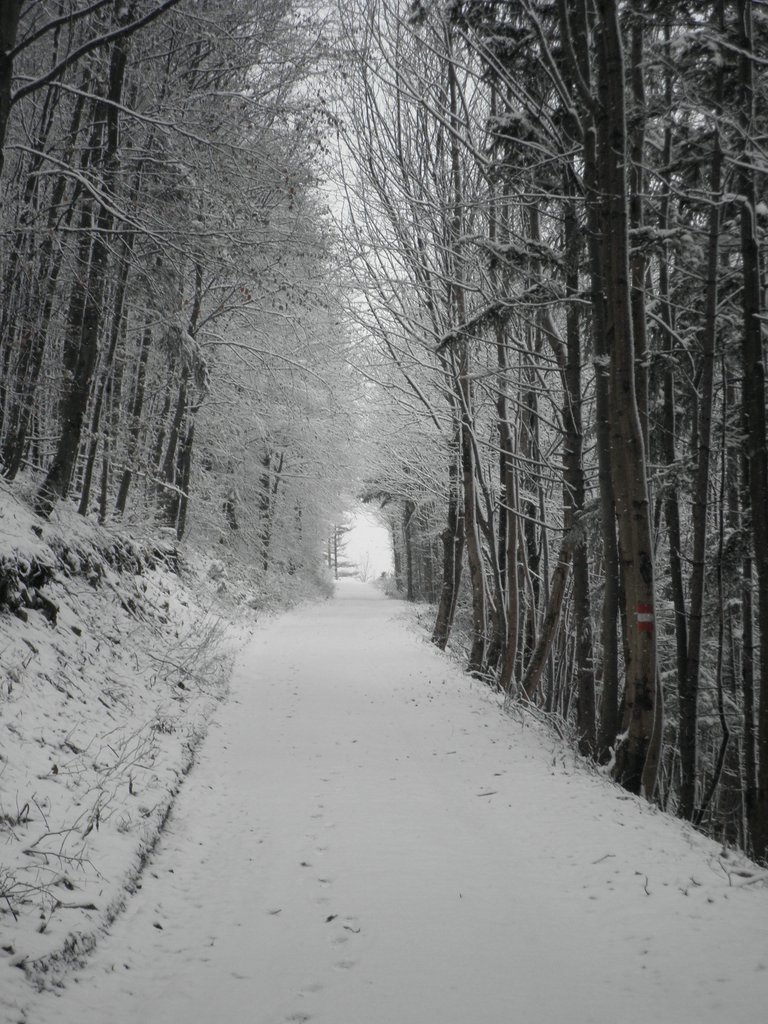 PC130108.JPG