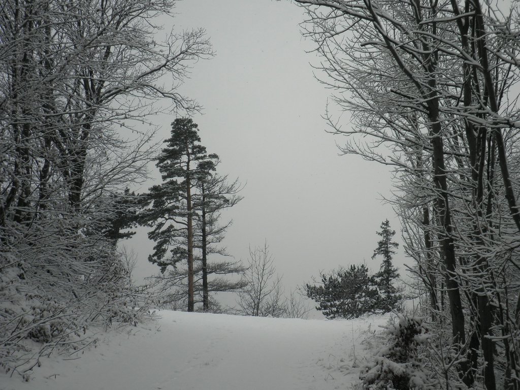 PC130109.JPG