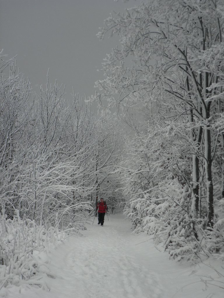 PC130112.JPG