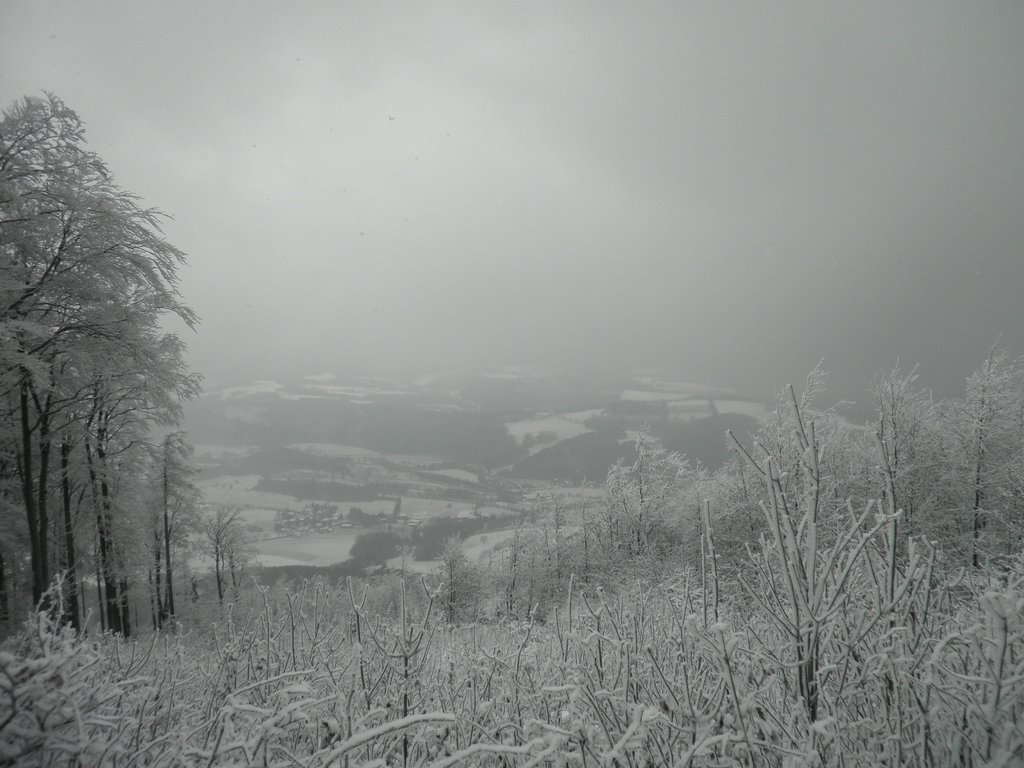 PC130113.JPG