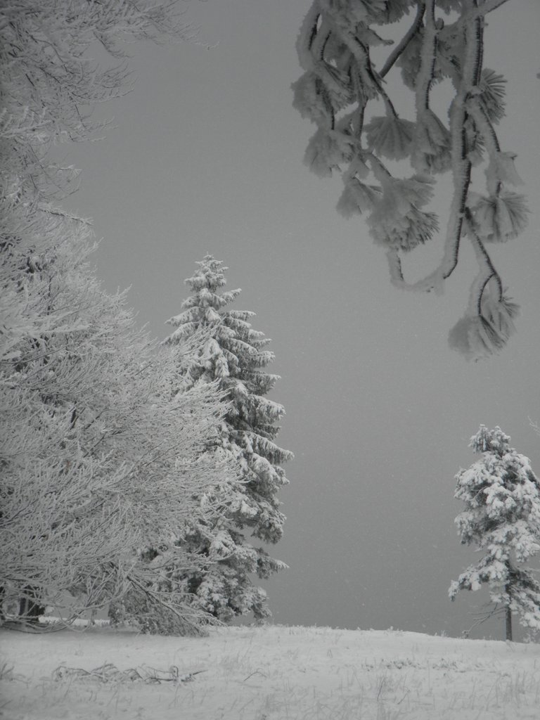 PC130115.JPG