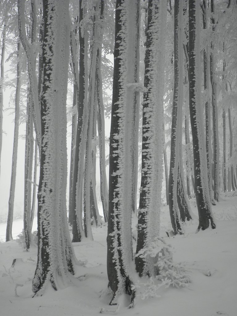 PC130121.JPG