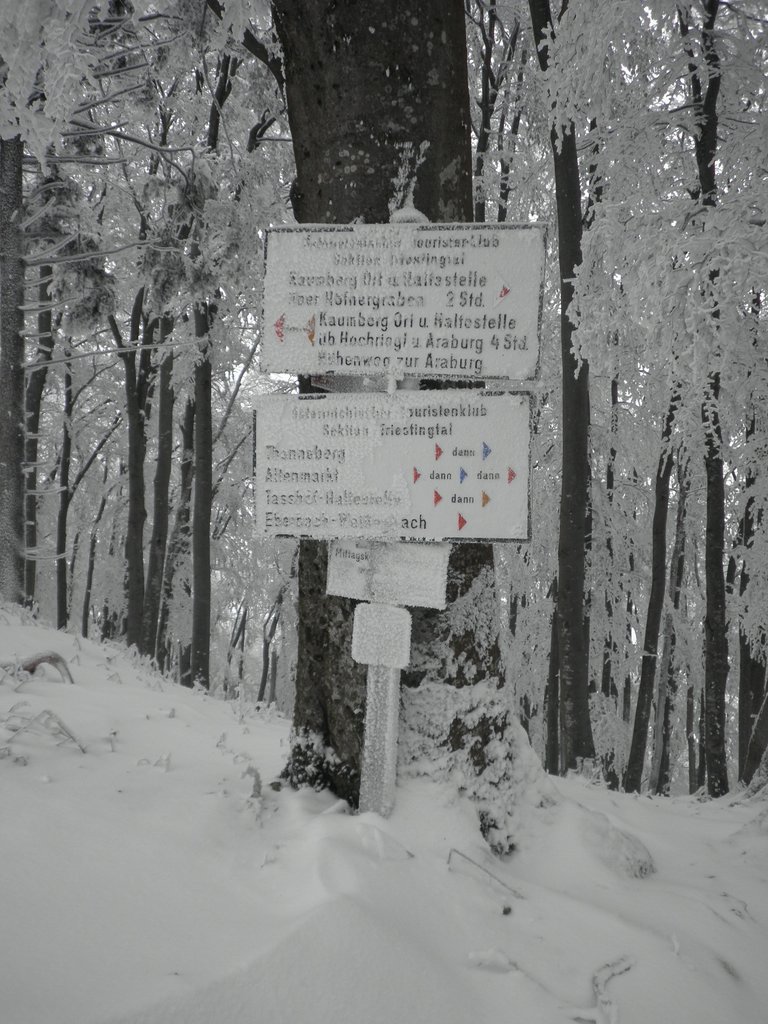 PC130126.JPG