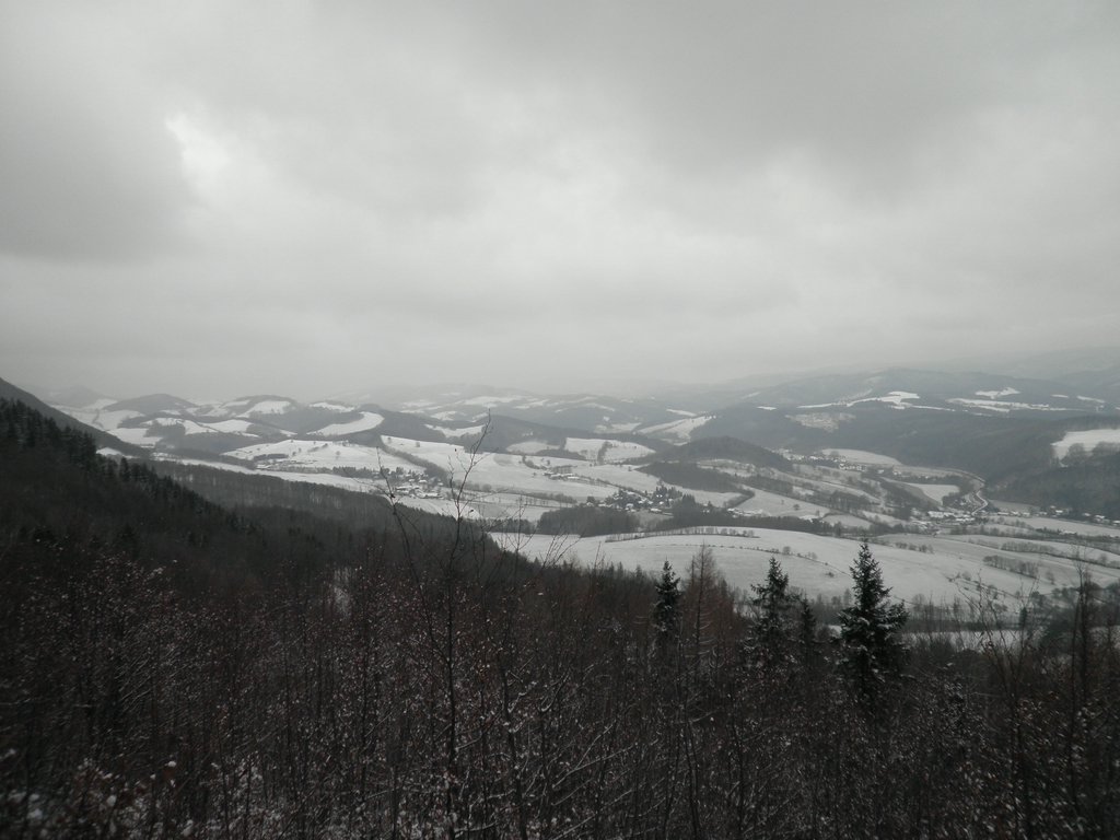 PC130136.JPG