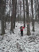 PC130102.JPG