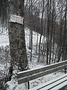 PC130104.JPG