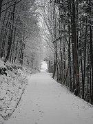 PC130108.JPG
