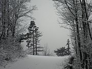 PC130109.JPG