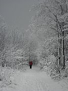 PC130112.JPG