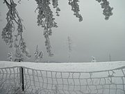 PC130114.JPG