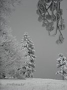 PC130115.JPG