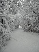 PC130119.JPG