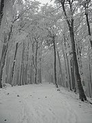 PC130120.JPG