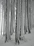 PC130121.JPG