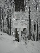 PC130126.JPG