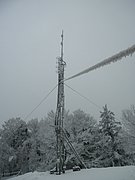 PC130128.JPG