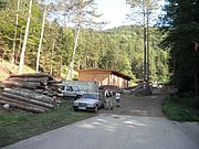 P7090005.JPG