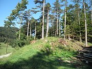 P7090006.JPG