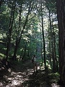 P7090007.JPG
