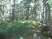 P7090012.JPG