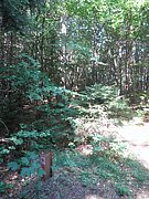 P7090014.JPG