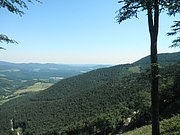 P7090017.JPG