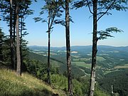 P7090018.JPG