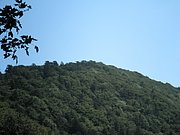 P7090023.JPG